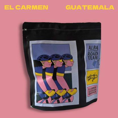 PYV x Alba RT Collab: El Carmen | Don Hector Leal | Natural Shade Dried | Guatemala